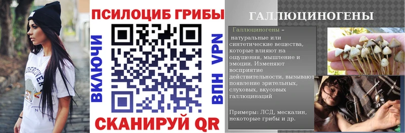 KRAKEN зеркало Суворов Псилоцибиновые грибы мицелий